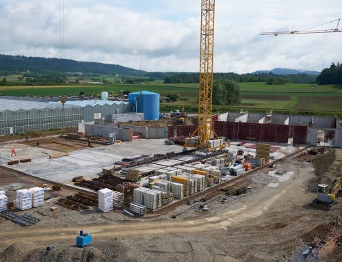 Biomasseverwertungsanlage
